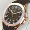 Patek Aquanaut 5167R Pour Homme