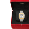 Santos W2SA0009 Pour Homme